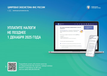 Уплатите налоги не позднее 1 декабря